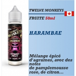 Twelve Monkeys - HARAMBAE - 50ml