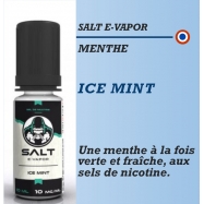 Salt E-Vapor - ICE MINT - 10ml