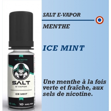 Salt E-Vapor - ICE MINT - 10ml