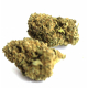 CBD - GELATO MINI - VRAC