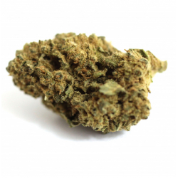CBD - GELATO MINI - VRAC