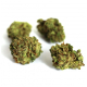 CBD -SWEETY MINI HAZE - VRAC
