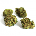 CBD -SWEETY MINI HAZE - VRAC